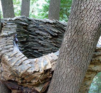 "Nest" (2005) by Steven Siegel